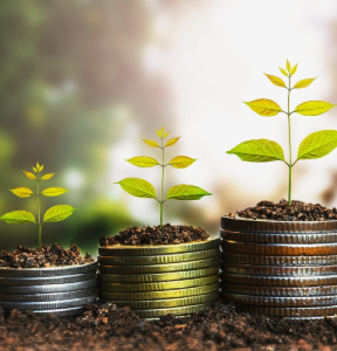 natural_income_growth